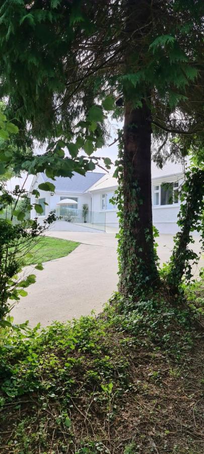 Annie'S House With Thermal Health Spa Moville Luaran gambar